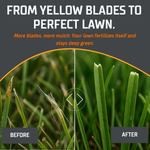 Mova LiDAX Ultra AWD 9-Blade EasyCut Blade Disc – Before and after comparison